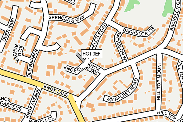 HG1 3EF map - OS OpenMap – Local (Ordnance Survey)