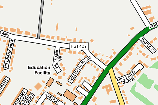 HG1 4DY map - OS OpenMap – Local (Ordnance Survey)