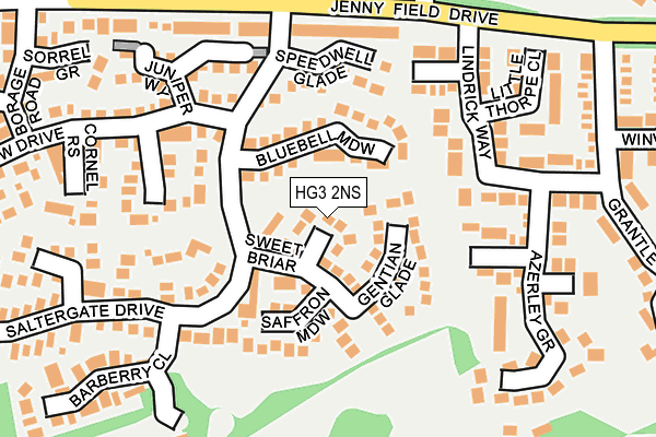 HG3 2NS map - OS OpenMap – Local (Ordnance Survey)