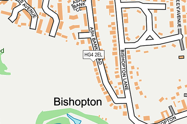 Map of THE NUTRITION ADVICE CENTRE LTD at local scale