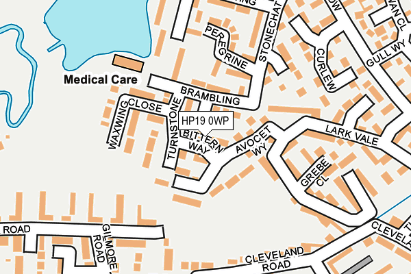 HP19 0WP map - OS OpenMap – Local (Ordnance Survey)