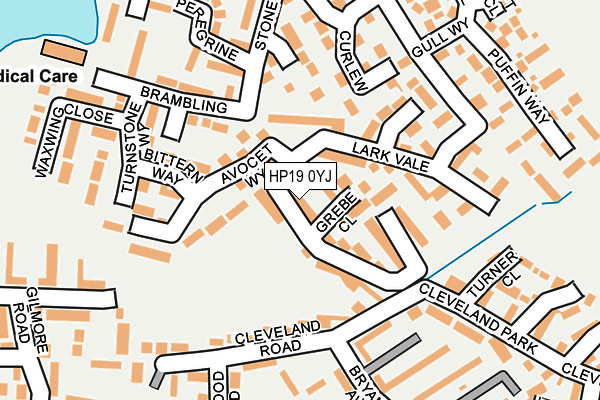 HP19 0YJ map - OS OpenMap – Local (Ordnance Survey)