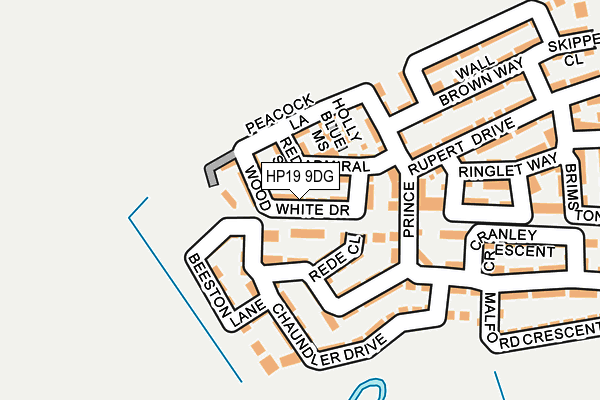 HP19 9DG map - OS OpenMap – Local (Ordnance Survey)