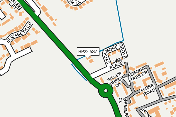 HP22 5SZ map - OS OpenMap – Local (Ordnance Survey)