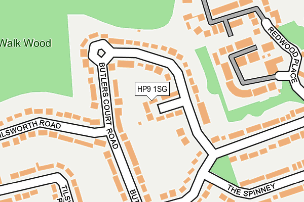 HP9 1SG map - OS OpenMap – Local (Ordnance Survey)