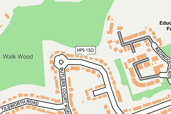 HP9 1SQ map - OS OpenMap – Local (Ordnance Survey)