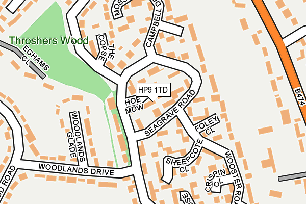 HP9 1TD map - OS OpenMap – Local (Ordnance Survey)