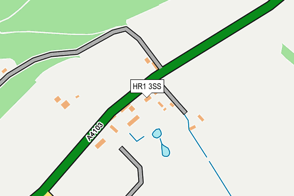 HR1 3SS map - OS OpenMap – Local (Ordnance Survey)