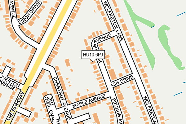 HU10 6PJ map - OS OpenMap – Local (Ordnance Survey)