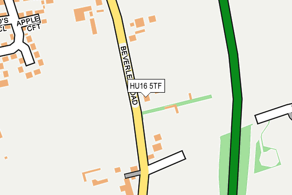 HU16 5TF map - OS OpenMap – Local (Ordnance Survey)