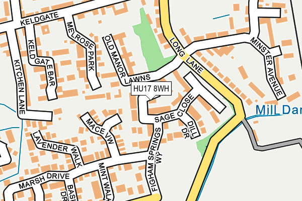 HU17 8WH map - OS OpenMap – Local (Ordnance Survey)