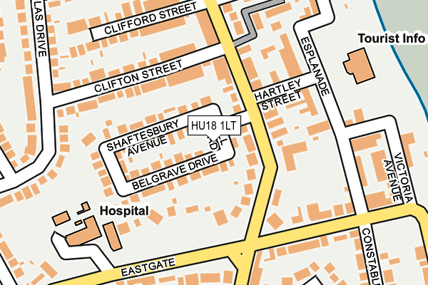 HU18 1LT map - OS OpenMap – Local (Ordnance Survey)