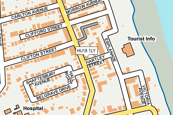 HU18 1LY map - OS OpenMap – Local (Ordnance Survey)