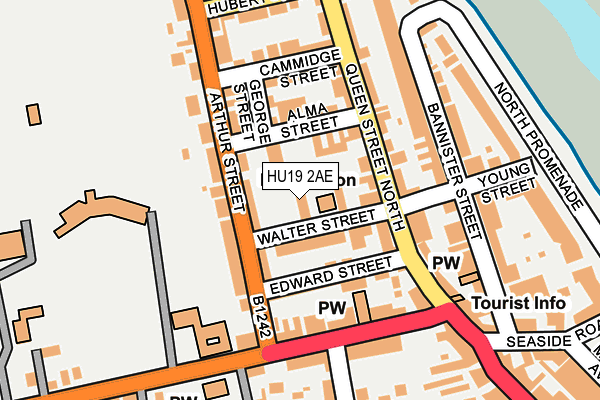 HU19 2AE map - OS OpenMap – Local (Ordnance Survey)