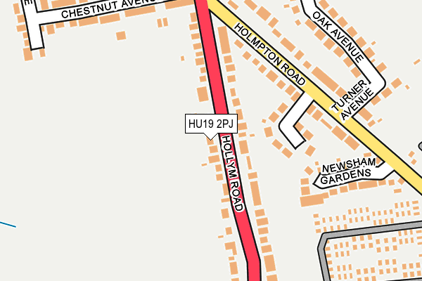 HU19 2PJ map - OS OpenMap – Local (Ordnance Survey)