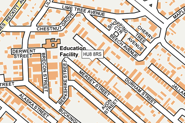 HU8 8RS map - OS OpenMap – Local (Ordnance Survey)