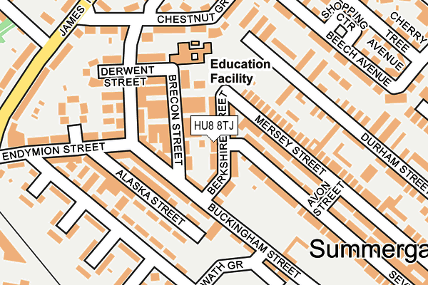 HU8 8TJ map - OS OpenMap – Local (Ordnance Survey)