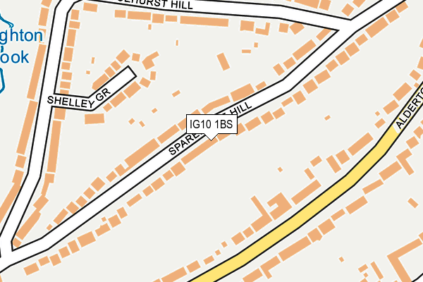 IG10 1BS map - OS OpenMap – Local (Ordnance Survey)