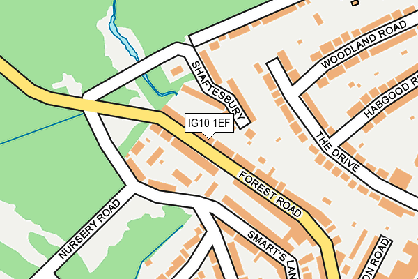 IG10 1EF map - OS OpenMap – Local (Ordnance Survey)
