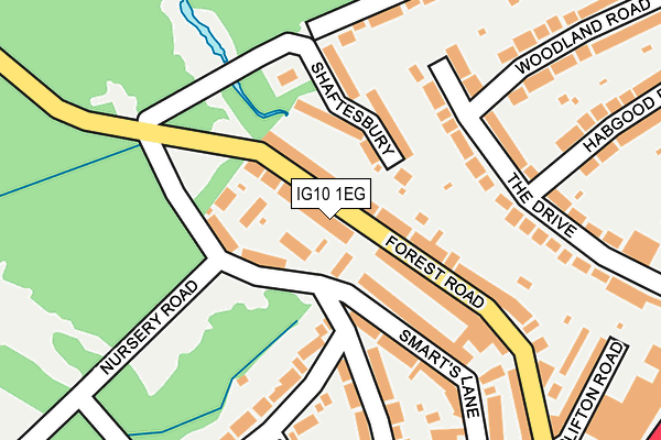 IG10 1EG map - OS OpenMap – Local (Ordnance Survey)