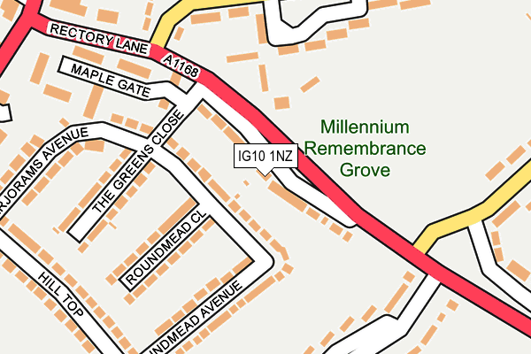 IG10 1NZ map - OS OpenMap – Local (Ordnance Survey)