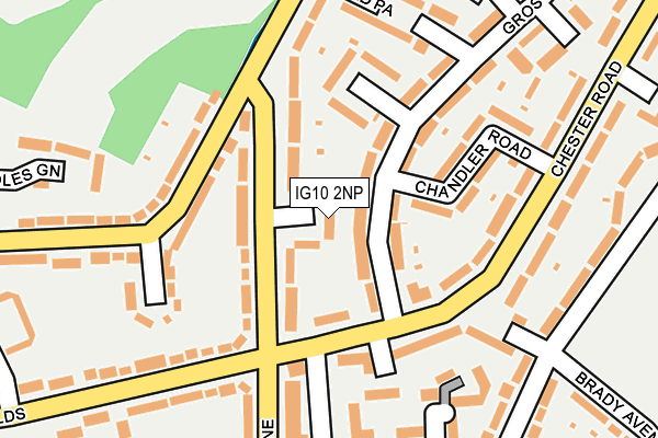 IG10 2NP map - OS OpenMap – Local (Ordnance Survey)