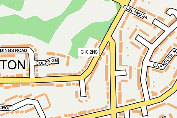 IG10 2NS map - OS OpenMap – Local (Ordnance Survey)