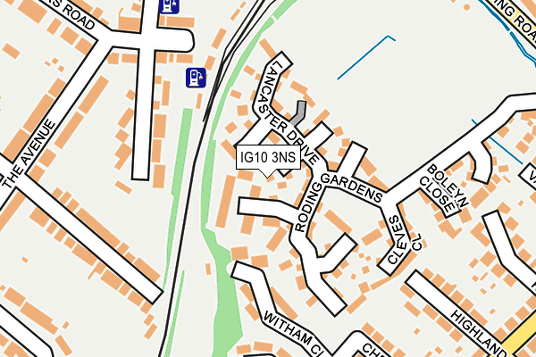 IG10 3NS map - OS OpenMap – Local (Ordnance Survey)