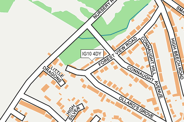 IG10 4DY map - OS OpenMap – Local (Ordnance Survey)