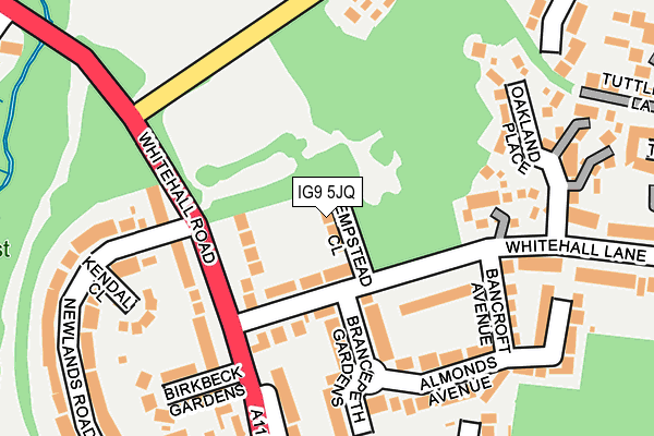 IG9 5JQ map - OS OpenMap – Local (Ordnance Survey)