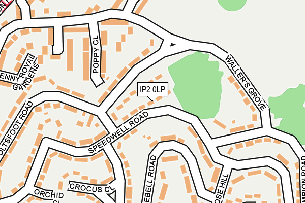 IP2 0LP map - OS OpenMap – Local (Ordnance Survey)