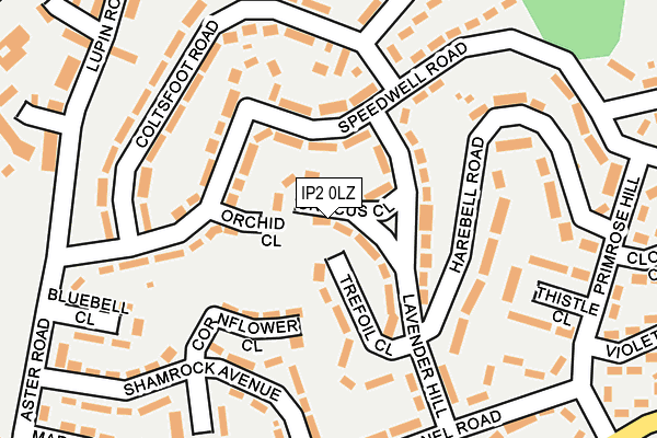 IP2 0LZ map - OS OpenMap – Local (Ordnance Survey)