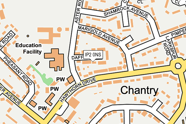 IP2 0NS map - OS OpenMap – Local (Ordnance Survey)