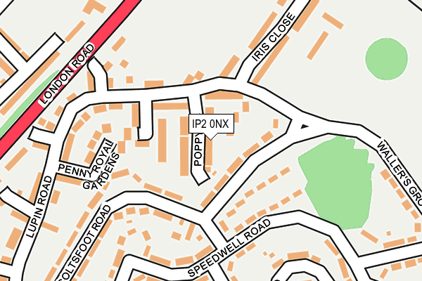 IP2 0NX map - OS OpenMap – Local (Ordnance Survey)