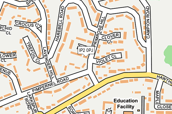 IP2 0PJ map - OS OpenMap – Local (Ordnance Survey)