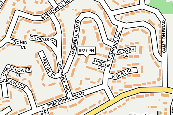 IP2 0PN map - OS OpenMap – Local (Ordnance Survey)