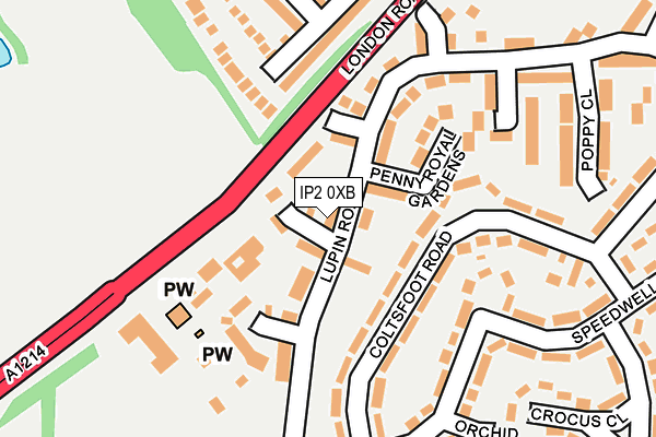 IP2 0XB map - OS OpenMap – Local (Ordnance Survey)