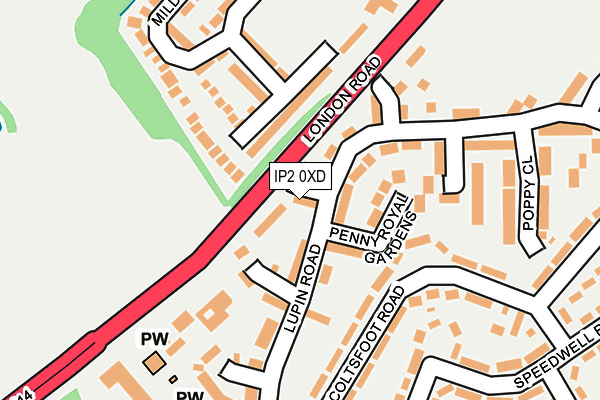IP2 0XD map - OS OpenMap – Local (Ordnance Survey)