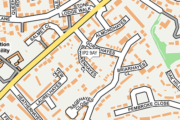 IP2 9AY map - OS OpenMap – Local (Ordnance Survey)