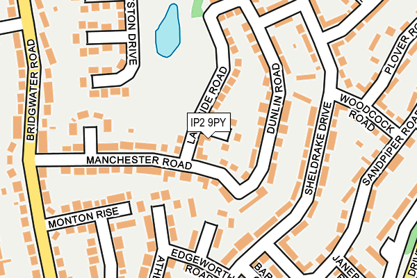 IP2 9PY map - OS OpenMap – Local (Ordnance Survey)