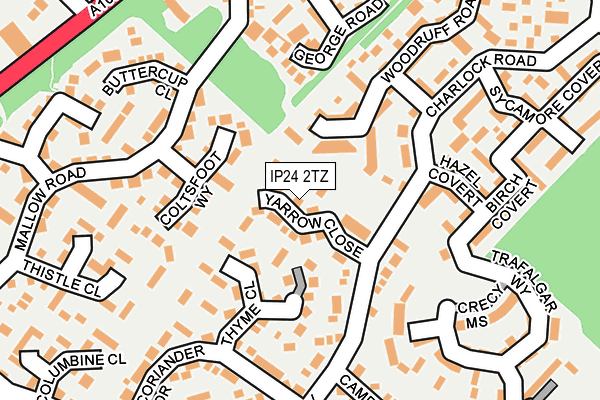 IP24 2TZ map - OS OpenMap – Local (Ordnance Survey)