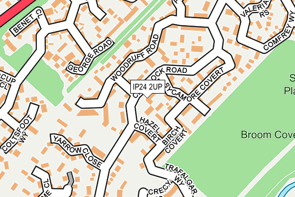 IP24 2UP map - OS OpenMap – Local (Ordnance Survey)