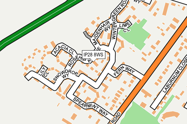 IP28 8WS map - OS OpenMap – Local (Ordnance Survey)