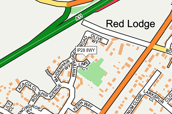 IP28 8WY map - OS OpenMap – Local (Ordnance Survey)