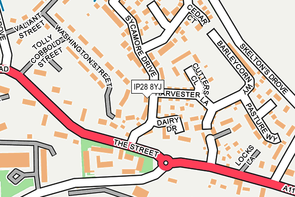 IP28 8YJ map - OS OpenMap – Local (Ordnance Survey)