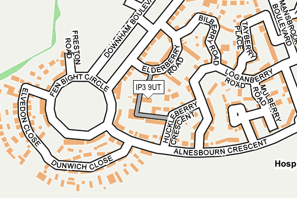 IP3 9UT map - OS OpenMap – Local (Ordnance Survey)