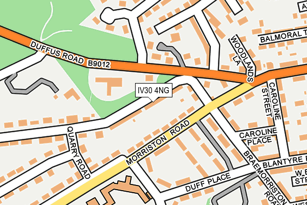 IV30 4NG map - OS OpenMap – Local (Ordnance Survey)