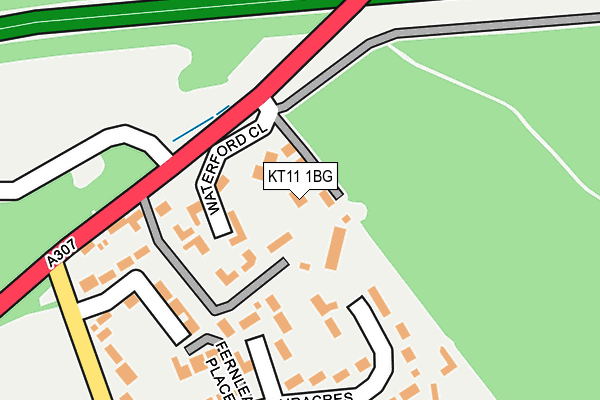 KT11 1BG map - OS OpenMap – Local (Ordnance Survey)
