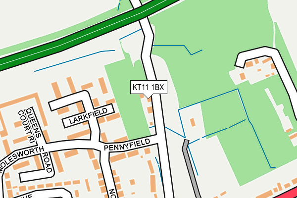 KT11 1BX map - OS OpenMap – Local (Ordnance Survey)