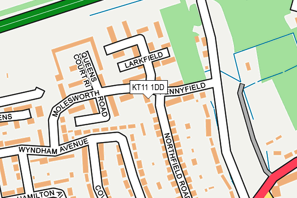 KT11 1DD map - OS OpenMap – Local (Ordnance Survey)